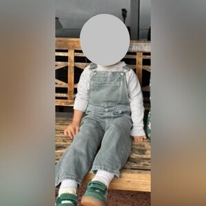 Zara Gray Denim Overalls